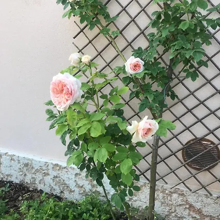 Una Casa Di Campagna Semesterbostad Dossobuono