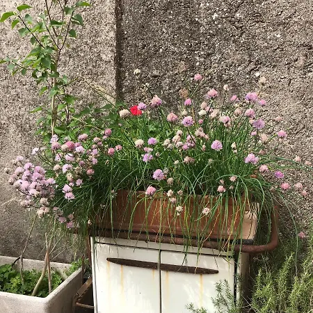 Una Casa Di Campagna Dossobuono