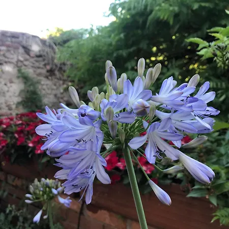 Nyaraló Una Casa Di Campagna Dossobuono