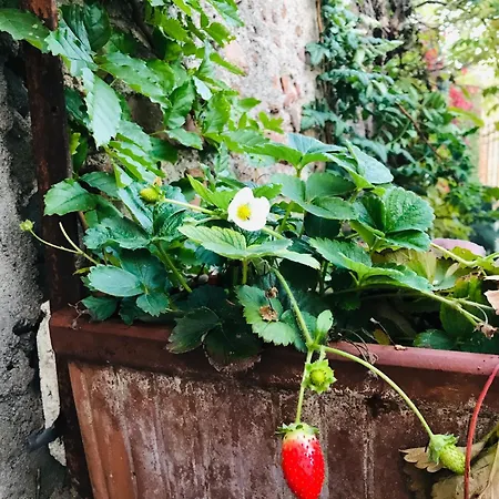 Nyaraló Una Casa Di Campagna